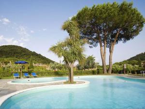 a swimming pool with two trees and two blue chairs at Sant'Anna Del Volterraio - Papaveri 7 in SantʼAnna