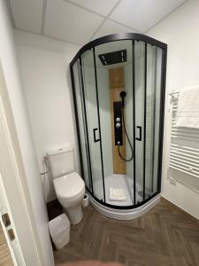 a bathroom with a toilet and a glass shower at Studio familial du Cloitre in Narbonne