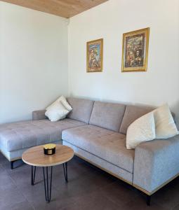 a living room with a couch and a table at Lux Chalet - Sauna and Hot Tub in Topolšica +7 photos