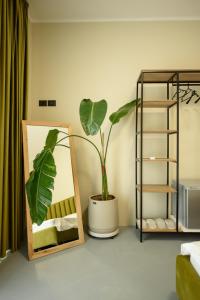 ヴロラにあるOlivium Roomsのギャラリーの写真 +47枚の写真