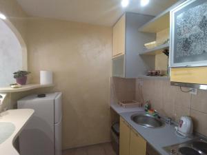 a small kitchen with a sink and a refrigerator at Lea Beo in Belgrade