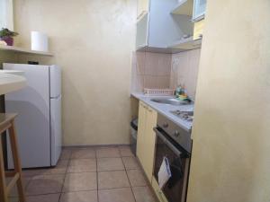 a small kitchen with a refrigerator and a sink at Lea Beo in Belgrade +7 photos