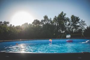 two people swimming in a swimming pool with a trampoline at Na Końcu Świata-Willa 1 in Wilków