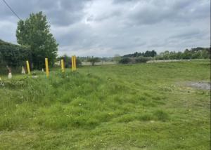 ein Feld mit gelben Stangen im Gras in der Unterkunft Thimble Cottage in Buckinghamshire + 3 Fotos