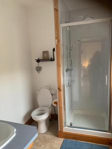 a bathroom with a shower with a toilet and a sink at The Cottage at Hillhead Farm in St. Andrews +7 photos