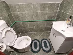 Koupelna v ubytování Wolf Apartment + 11 fotografií
