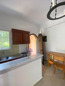 una cucina con bancone e tavolo con fiori di Hestia Greekgod Apartments a Sidari