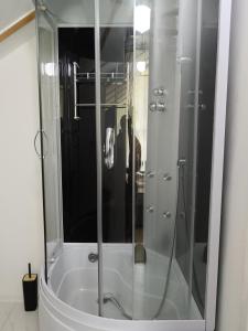 a shower with a glass door in a bathroom at Farm Stay Agroturism Bori Punct Gastronomic Local in Gura Humorului +291 photos