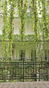 Beautiful newly refurbished studio,fully equipped apartment 1143 Budapest, Ilka utca 30 kép - 2