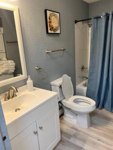 a bathroom with a toilet and a sink and a mirror at Beautiful downtown Anchorage 2 in Anchorage