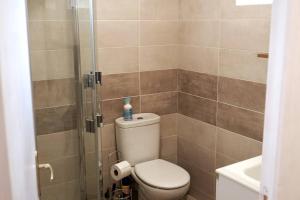 a small bathroom with a toilet and a shower at Maison Plein Soleil in Montauban-de-Luchon +20 photos