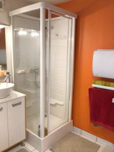 a shower stall in a bathroom with a sink at La Tournerie de Valis in Clairvaux-les-Lacs