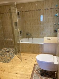a bathroom with a shower and a toilet and a tub at Ferienwohnung Sternenzauber in Bad Münstereifel +23 photos