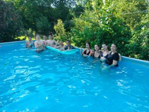 Billede fra billedgalleriet på Pensiunea Leia Cârțișoara i Cârţişoara