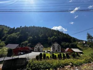 a village on a hill with houses and trees at Pensiunea Emanuel in Gârda de Sus
