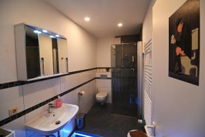 a bathroom with a sink and a shower and a toilet at Am Schloss 105 in Schwerin +8 photos