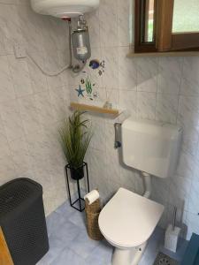 baño con aseo y planta en Apartma Bossamarino, en Koper 9 fotos más