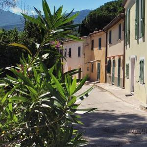 a palm tree in front of a street with buildings at Casa Pineta in Procchio