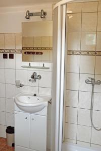 a bathroom with a sink and a shower at U Kotálů in Podmokly +32 photos