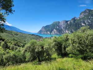 Paesaggio naturale nelle vicinanze dell'hotel