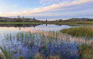 Náttúran í nágrenni sumarhússins