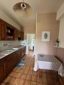 a kitchen with a sink and a table in it at Belle Maison avec vue magnifique , séjour pleine nature gd jardin in Cressat