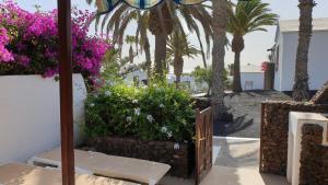 een patio met paarse bloemen en palmbomen bij Casa Tanja Casas del Sol in Playa Blanca