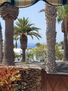 een groep palmbomen met de oceaan op de achtergrond bij Casa Tanja Casas del Sol in Playa Blanca +15 foto's