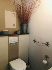 a bathroom with a toilet and a plant on the wall at BnB Golden Delicious for 2 in Normandy in Les Champeaux +27 photos