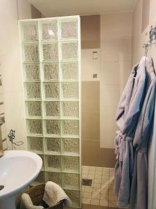 a bathroom with a shower and a sink at BnB Golden Delicious for 2 in Normandy in Les Champeaux