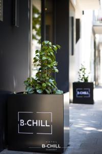杜塞尔多夫B-Chill Düsseldorf的人行道上一个箱子里的盆栽植物
