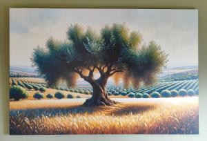 Φωτογραφία από το άλμπουμ του The Olive House σε Dhíkella