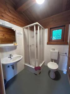 a bathroom with a shower and a toilet and a sink at ABB Sportcenter Gänsefurth, Doppelzimmer ohne Küche, Standard Doppelzimmer mit Küche in Hecklingen