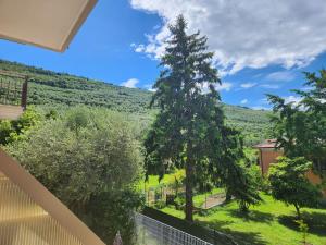 Vista generica sulle montagne o vista sulle montagne dall'interno dell'hotel