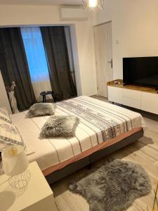 a bedroom with two beds and a flat screen tv at Apartament de lux in Craiova