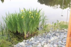 Gallery image of Odpoczywajka Dwa Stawy in Zawadówka