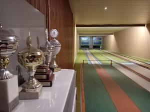 a group of trophies on display in a bowling alley at Auszeit 39 in Stadtoldendorf