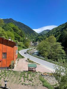 Peisaj natural din apropierea acestui apartament