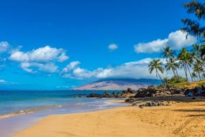 a beach with palm trees and the ocean at Kamaole Beach Royale 208 in Kihei