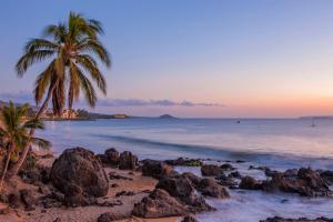 a beach with two palm trees and the ocean at Kamaole Beach Royale 208 in Kihei