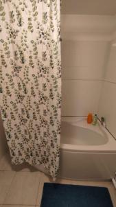 a bathroom with a shower curtain with a blue rug at Studio sur jardin in Villejuif