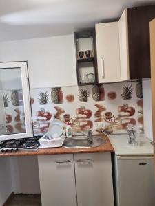 eine Küche mit einer Arbeitsplatte mit Spüle und einer Arbeitsfläche in der Unterkunft ADC&Studio in Constanţa