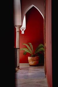 Fotografie z fotogalerie ubytování Casa Palacio Doña Guiomar v destinaci Seville