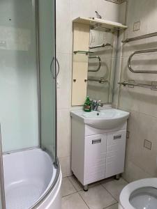 y baño con lavamanos y aseo. en Квартира в центре, VEFA, en Bishkek