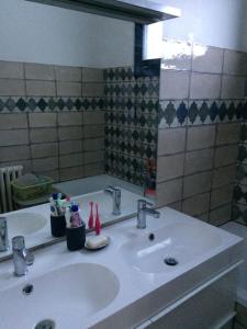 een badkamer met een wastafel en een spiegel bij Maison avec vue imprenable in Saint-Martin-de-Clelles