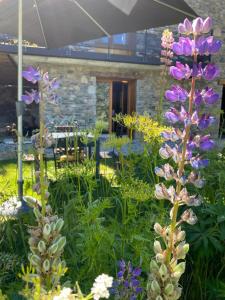 Κήπος έξω από το LE LODGE, Pyrénées 2000 - Jardin, très calme, espace rangement