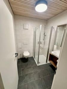Un baño con ducha, inodoro y lavabo. en FeWo Holzäpfel Dunningen, en Dunningen