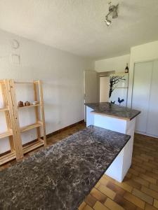 eine Küche mit einer Arbeitsplatte in einem Raum in der Unterkunft Calme et plein air in Monestier-de-Clermont