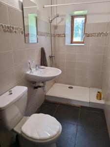 ein Badezimmer mit einer weißen Toilette und einem Waschbecken in der Unterkunft Calme et plein air in Monestier-de-Clermont