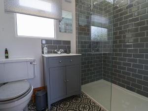 a bathroom with a toilet and a sink and a shower at Pebble Beach Chalet in Seaton